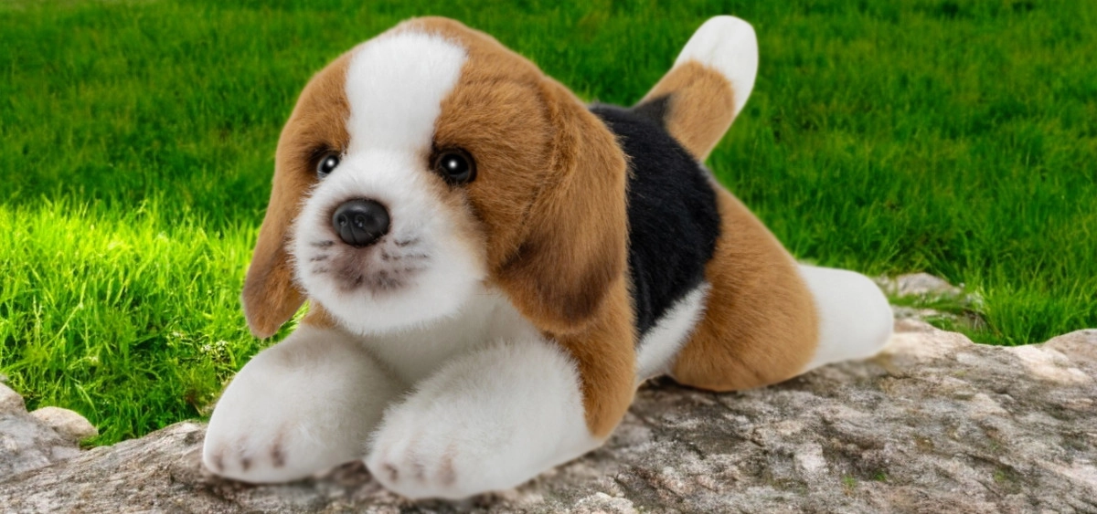 Soft toy plush Beagle | Carl Dick Collection Soft toy plush Beagle | Carl Dick Collection