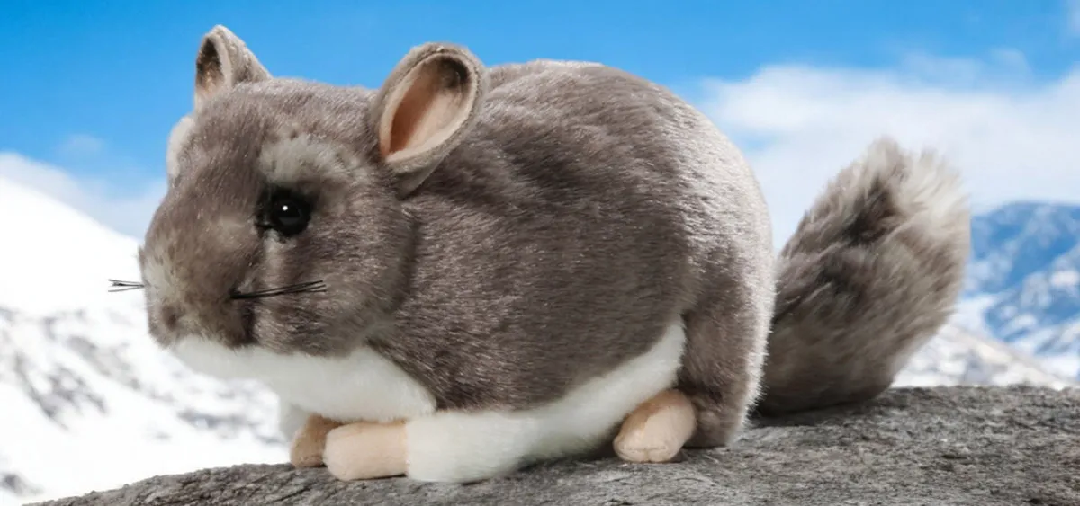 Soft toy plush chinchilla | Carl Dick Collection