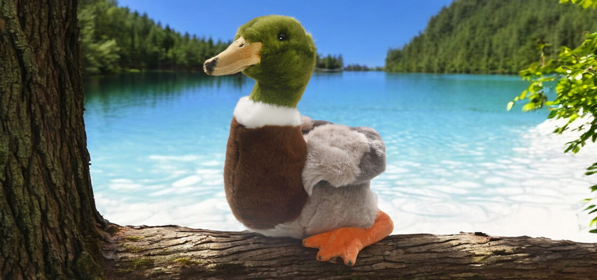 Soft toy plush duck | Carl Dick Collection
