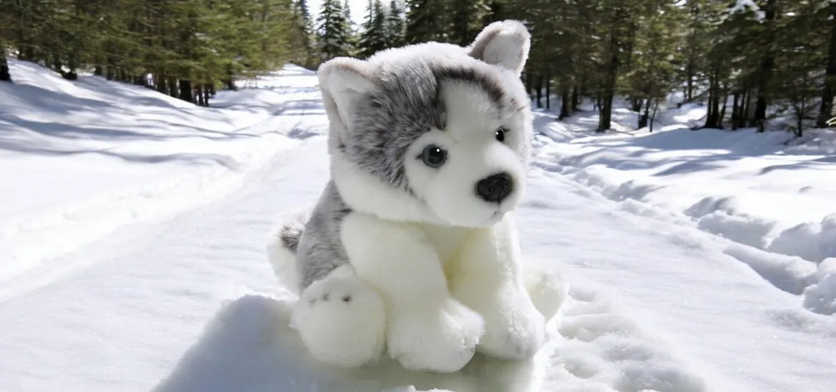 Soft toy plush Husky | Carl Dick Collection