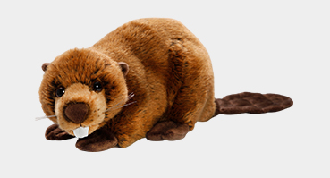 Beaver