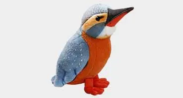 King Fisher Bird