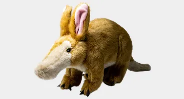 Aardvark