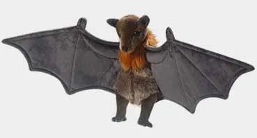 Flying Fox