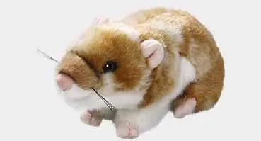 Hamster