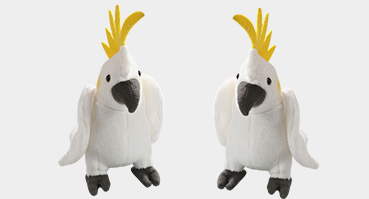 Cockatoo