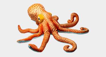 Octopus