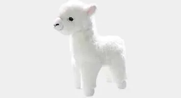 Llama