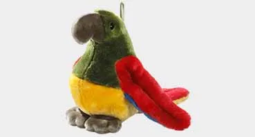 Parrot