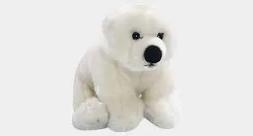 Ice Bear