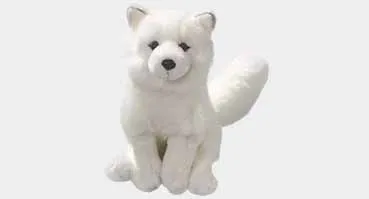 Polar-Fox