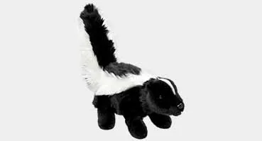 Skunk