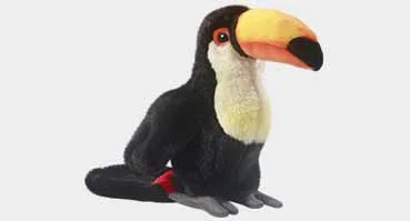 Toucan