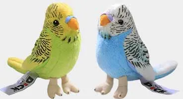 Budgies