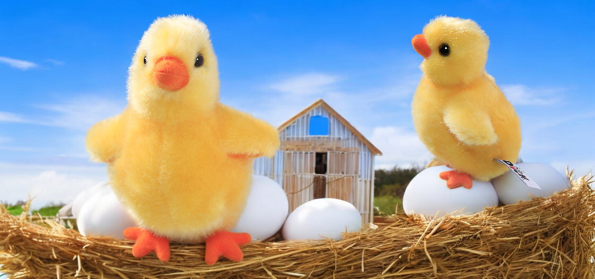 Soft toy plush chicken | Carl Dick Collection