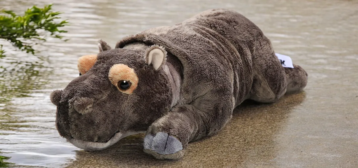 Soft toy plush hippo | Carl Dick Collection