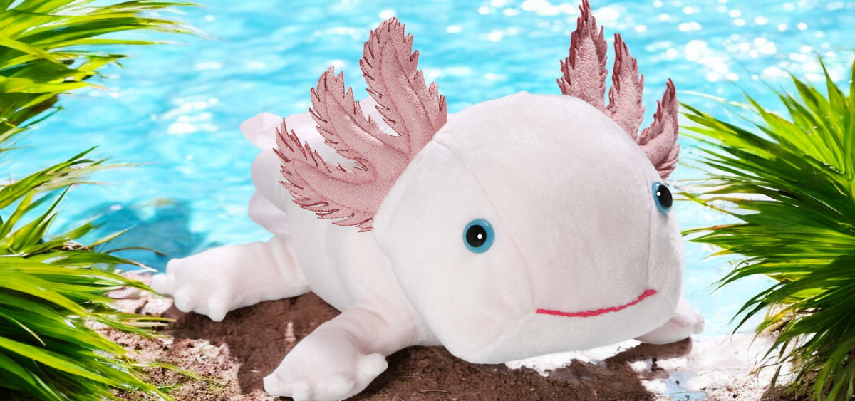 Axolotl juguete de peluche Kawaii Animal Axolotl peluches figura muñeca Axolotl juguete de peluche Kawaii Animal Axolotl peluches figura muñeca