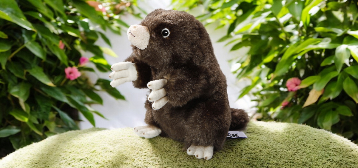 Stuffed mole toy deals