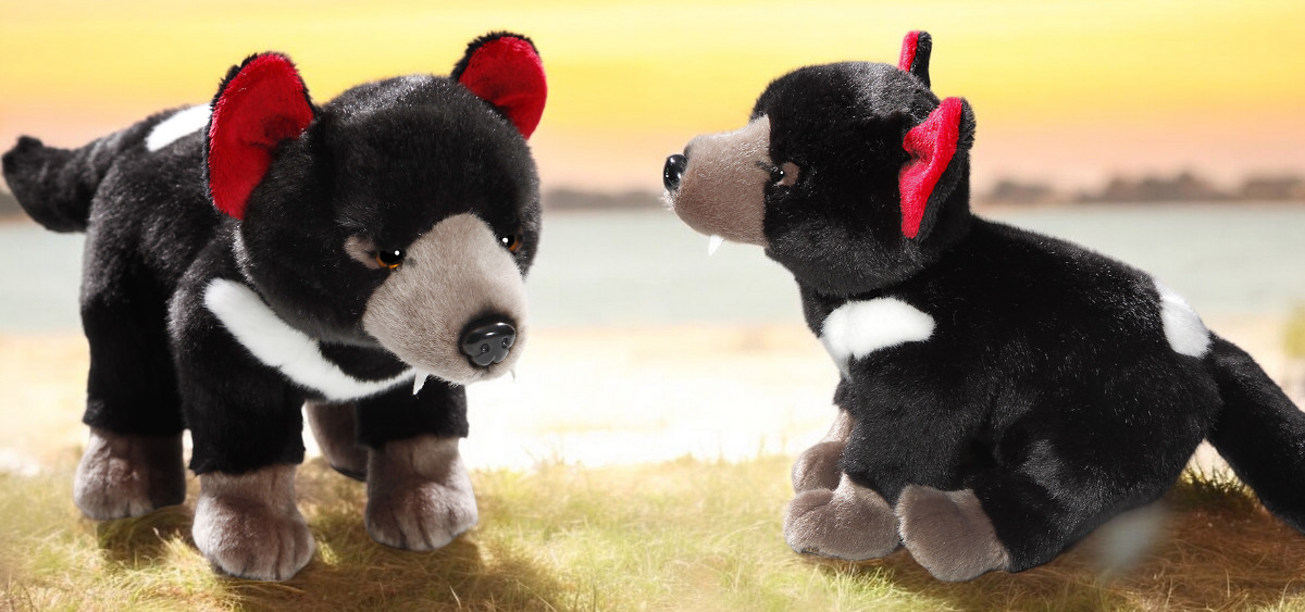 Tasmanian devil teddy bear on sale