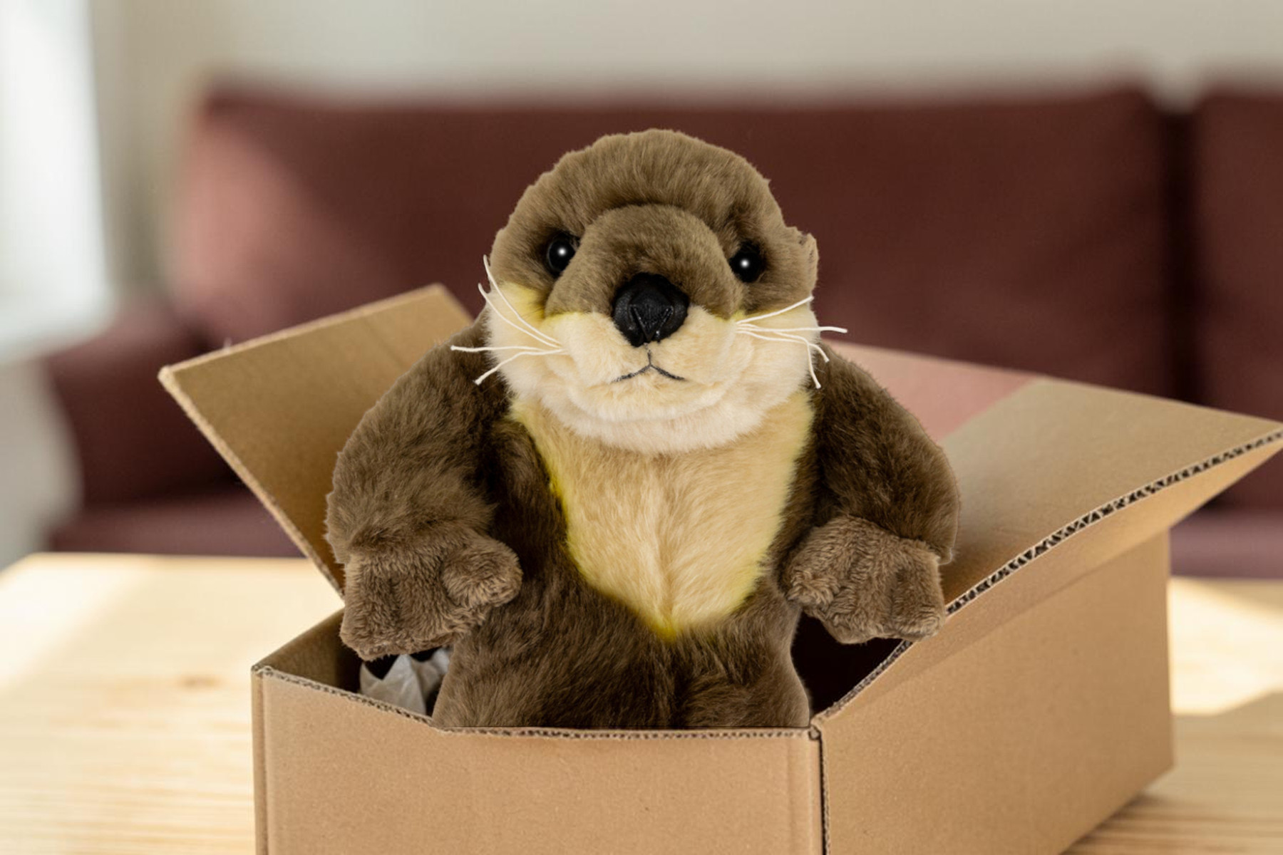 Plüschotter in einem offenen Versandkarton auf einem hellen Tisch