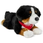 Preview: Plüschtier Berner Sennenhund – rotes „I Love You“-Halstuch