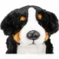 Preview: Stuffed Animal Bernese Mountain Dog