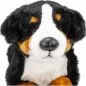 Preview: Stuffed Animal Bernese Mountain Dog