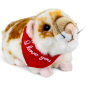 Preview: Plush Toy Hamster light-brown – red “I Love You” scarf