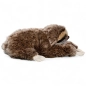 Preview: Sloth lying Preview: Sloth lying