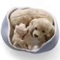 Preview: Golden Retriever mit Babys im Körbchen