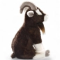 Preview: Goat sitting Preview: Goat sitting