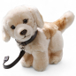 Preview: Golden Retriever Dog with Lead