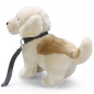 Preview: Golden Retriever Dog with Lead