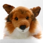 Preview: Shetland Collie brown-white lying