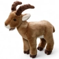 Preview: Ibex