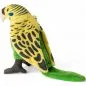 Preview: Stuffed Animal Budgie, Budgerigar