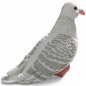 Preview: Dove, City Dove white