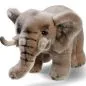 Preview: Stuffed Animal Elephant standing