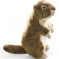 Preview: Stuffed Animal Ground Squirrel