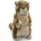 Preview: Stuffed Animal Ground Squirrel