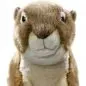 Preview: Stuffed Animal Ground Squirrel