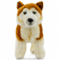 Preview: Stuffed Animal Akita Dog