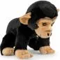 Preview: Stuffed Animal Chimpanzee