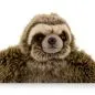 Preview: Stuffed Animal Sloth sitting