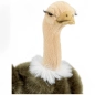 Preview: Stuffed Animal Ostrich Preview: Stuffed Animal Ostrich
