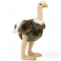 Preview: Stuffed Animal Ostrich Preview: Stuffed Animal Ostrich