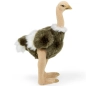 Preview: Stuffed Animal Ostrich Preview: Stuffed Animal Ostrich
