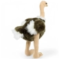 Preview: Stuffed Animal Ostrich Preview: Stuffed Animal Ostrich