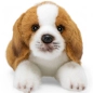 Preview: Stuffed Animal Beagle Preview: Stuffed Animal Beagle