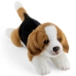 Preview: Stuffed Animal Beagle Preview: Stuffed Animal Beagle